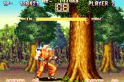 © SNK PLAYMORE